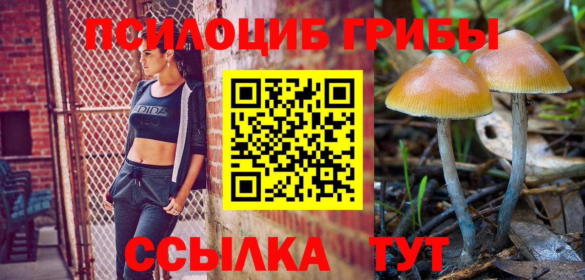 Галлюциногенные грибы Magic Shrooms  Галлюциногенные грибы Magic Shrooms  Ливны  Вход с VPN 