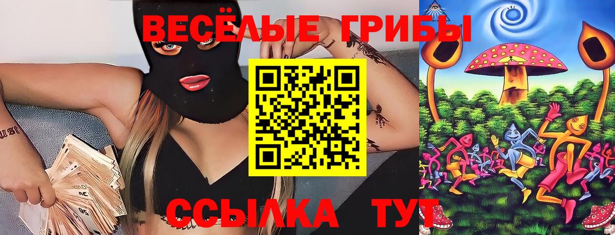 Псилоцибиновые грибы GOLDEN TEACHER Ливны